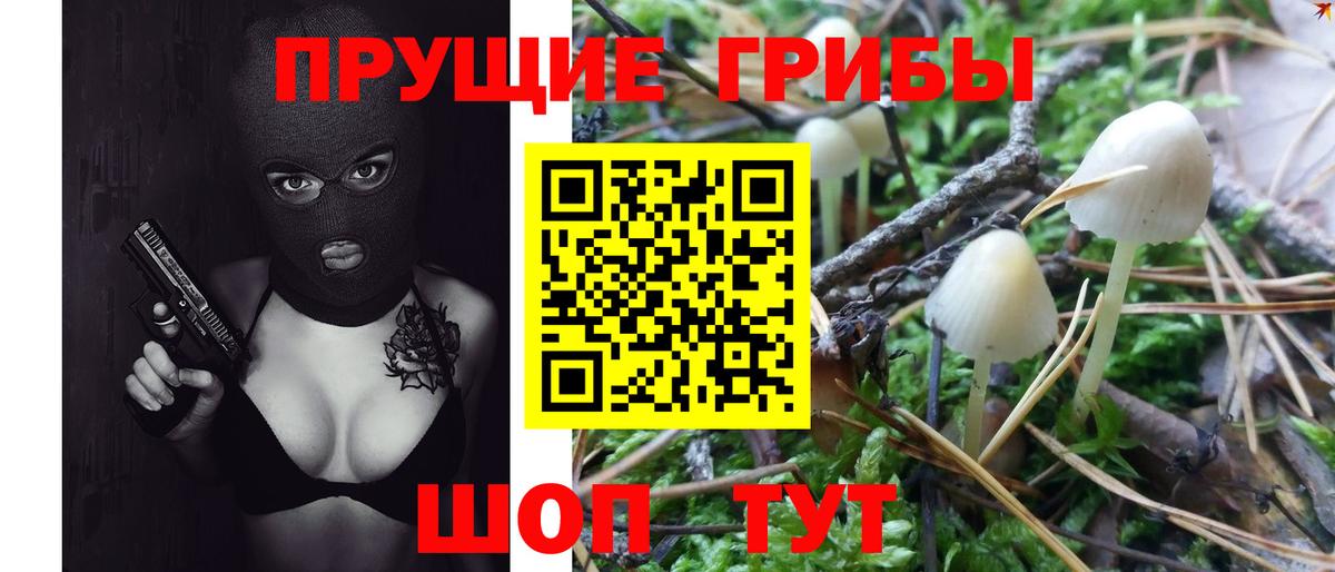 Галлюциногенные грибы Psilocybe  Псилоцибиновые грибы Cubensis  как найти   Вход с VPN  Чернушка 